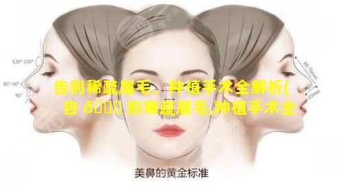 告别稀疏眉毛，种植手术全解析(告 🐝 别稀疏眉毛,种植手术全解析)